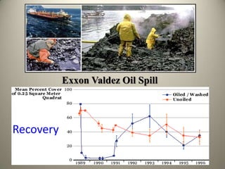 dispersed weathered oils on surface