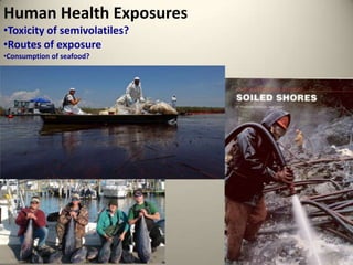 Chemical ContaminationMost of the oiled mussels were as clean as unoiled mussels by 1992-93 (3-4 years)