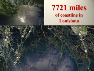 7721 milesof coastline in Louisiana