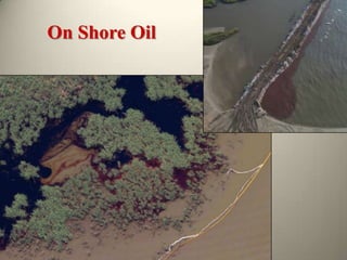 On Shore Oil