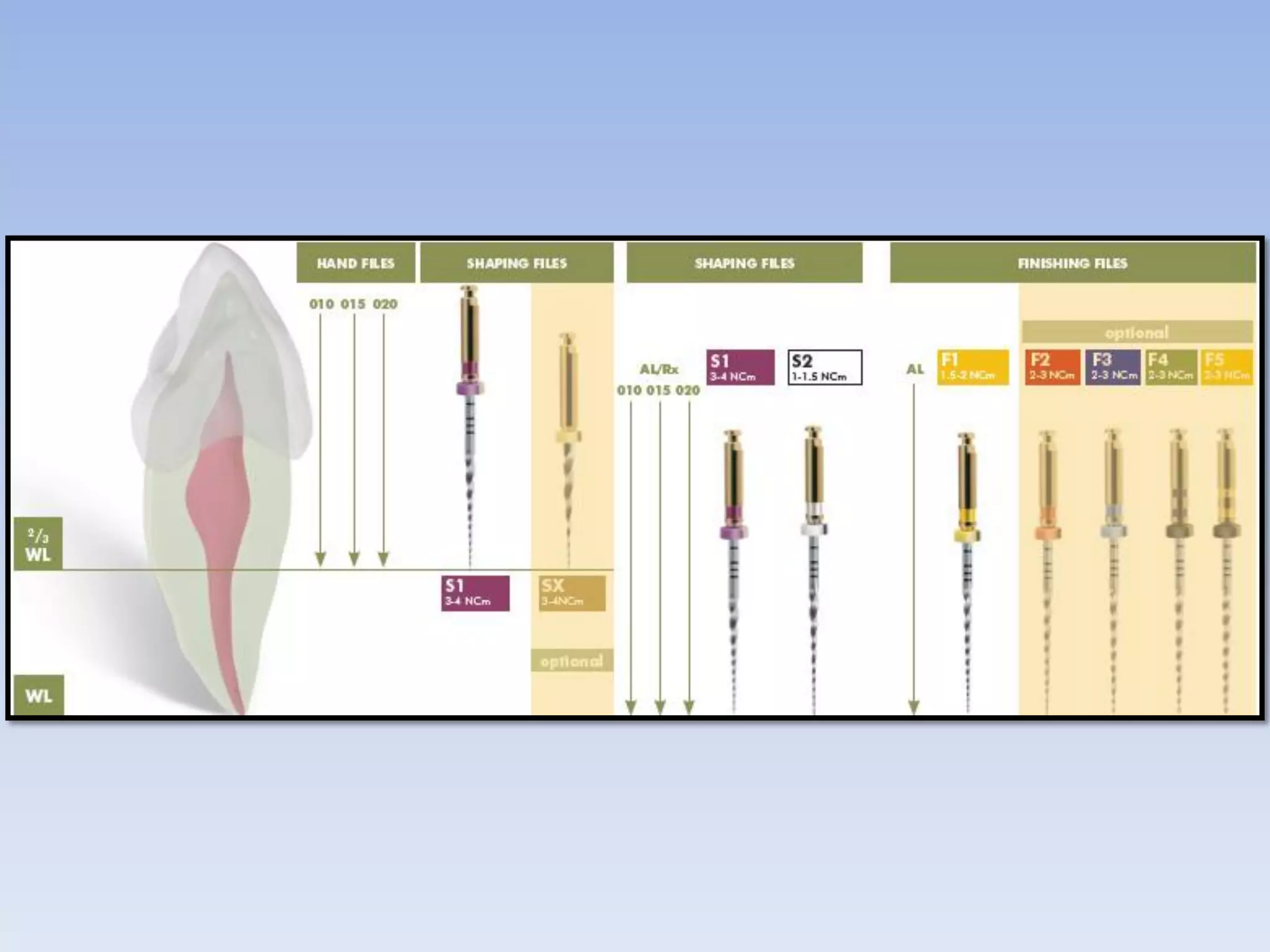 Rotary Universal ProTaper File