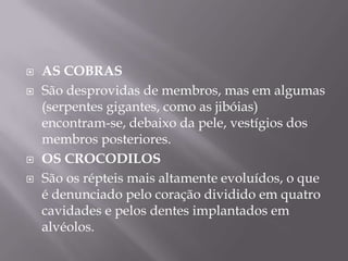 As CobrasSão desprovidas de membros, mas em algumas (serpentes gigantes, como as jibóias) encontram-se, debaixo da pele, vestígios dos membros posteriores.Os Crocodilos São os répteis mais altamente evoluídos, o que é denunciado pelo coração dividido em quatro cavidades e pelos dentes implantados em alvéolos.