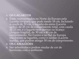 Os LagartosEstão representados no Norte da Europa pela Lacertavivipara, que pode medir 18 cm, incluindo a cauda de 10 cm, o lagarto-da-areia (Lacertaagilis), de 25 cm de comprimento total, com cauda de 13 cm, e o lagarto-sem-pernas ou licanço (Anguisfragilis), de 30 cm a 40 cm de comprimento. No Centro e no Sul da Europa encontram-se lagartos, como o sardão (Lacertalepida), que podem atingir 50 cm de comprimento. Os Camaleões São arborícolas e podem mudar de cor de harmonia com o ambiente.