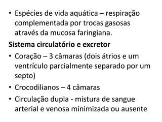 • Espécies de vida aquática – respiração
  complementada por trocas gasosas
  através da mucosa faringiana.
Sistema circulatório e excretor
• Coração – 3 câmaras (dois átrios e um
  ventrículo parcialmente separado por um
  septo)
• Crocodilianos – 4 câmaras
• Circulação dupla - mistura de sangue
  arterial e venosa minimizada ou ausente
 