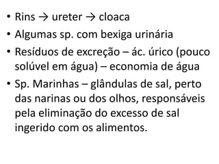 • Rins → ureter → cloaca
• Algumas sp. com bexiga urinária
• Resíduos de excreção – ác. úrico (pouco
  solúvel em água) – economia de água
• Sp. Marinhas – glândulas de sal, perto
  das narinas ou dos olhos, responsáveis
  pela eliminação do excesso de sal
  ingerido com os alimentos.
 
