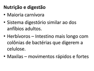Nutrição e digestão
• Maioria carnívora
• Sistema digestório similar ao dos
  anfíbios adultos.
• Herbívoros – Intestino mais longo com
  colônias de bactérias que digerem a
  celulose.
• Maxilas – movimentos rápidos e fortes
 