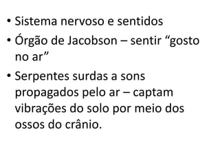 • Sistema nervoso e sentidos
• Órgão de Jacobson – sentir “gosto
  no ar”
• Serpentes surdas a sons
  propagados pelo ar – captam
  vibrações do solo por meio dos
  ossos do crânio.
 