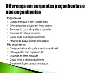 Peçonhentas
 Cabeça triangular e com fosseta loreal

 Olhos pequenos e pupila em fenda vertical

 Escamas do corpo alongadas e pontudas

 Escamas da cabeça pequenas

 Cauda curta e afinada bruscamente

 Atitudes de ataque quando ameaçadas

Não peçonhentas
 Cabeça estreita e alongada e sem fosseta loreal

 Olhos grandes com pupila circular

 Escamas do corpo achatado

 Cauda longa e afina gradualmente

 Geralmente fogem quando ameaçadas
 