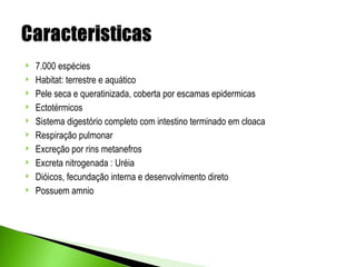    7.000 espécies
   Habitat: terrestre e aquático
   Pele seca e queratinizada, coberta por escamas epidermicas
   Ectotérmicos
   Sistema digestório completo com intestino terminado em cloaca
   Respiração pulmonar
   Excreção por rins metanefros
   Excreta nitrogenada : Uréia
   Dióicos, fecundação interna e desenvolvimento direto
   Possuem amnio
 