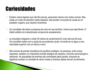    Existem certos lagartos que não têm pernas, parecendo mesmo com certos vermes. Mas
    existe um modo de descobrir certas espécies, elas perdem uma parte da cauda se um
    predador a agarra, que nascerá novamente.

   Um camaleão não tolera a presença de outro em seu território, mesmo que seja fêmea. O
    hábito solitário só é abandonado na época de acasalamento.

   os crocodilos chegaram a medir 30 metros de comprimento.E vivem até aos 80 anos.
    Os crocodilos nadam com a ajuda da sua poderosa cauda, movendo-se na água a uma
    velocidade superior à de um barco a remo.

   São animais de grande importância do equilíbrio ecológico. As jararacas, entre outras
    serpentes, realizam um importante controle biológico de roedores, incluindo camundongos e
    ratazanas. As populações de piranhas são controladas pelos jacarés, enquanto as
    lagartixas auxiliam no combate de vários insetos e diversos répteis servem de alimentos.
 
