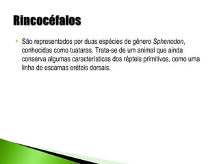    São representados por duas espécies de gênero Sphenodon,
    conhecidas como tuataras. Trata-se de um animal que ainda
    conserva algumas características dos répteis primitivos, como uma
    linha de escamas eréteis dorsais.
 