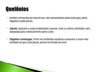    também conhecidos por testudíneos, são representados pelas tartarugas, pelos
    cágados e pelos jabutis.

   Jabutis :possuem o corpo arredondado e pernas mais ou menos cilindradas, bem
    adaptadas para o deslocamento sobre o solo

   Cágados e tartarugas :Vivem em ambientes aquáticos e possuem o corpo mais
    achatado do que o dos jabutis, pernas no formato de remo.
 