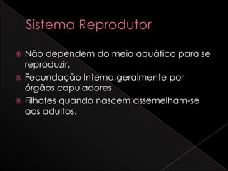  Não dependem do meio aquático para se
  reproduzir.
 Fecundação Interna,geralmente por
  órgãos copuladores.
 Filhotes quando nascem assemelham-se
  aos adultos.
 