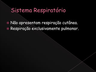  Não apresentam respiração cutânea.
 Respiração exclusivamente pulmonar.
 