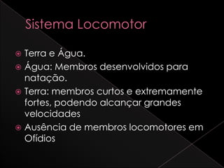  Terra e Água.
 Água: Membros desenvolvidos para
  natação.
 Terra: membros curtos e extremamente
  fortes, podendo alcançar grandes
  velocidades
 Ausência de membros locomotores em
  Ofídios
 