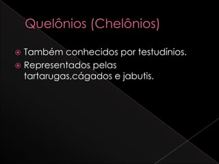  Também conhecidos por testudínios.
 Representados pelas
  tartarugas,cágados e jabutis.
 