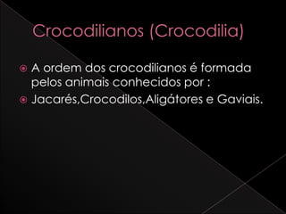  A ordem dos crocodilianos é formada
  pelos animais conhecidos por :
 Jacarés,Crocodilos,Aligátores e Gaviais.
 