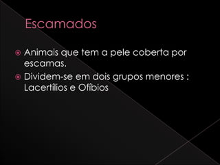  Animais que tem a pele coberta por
  escamas.
 Dividem-se em dois grupos menores :
  Lacertílios e Ofíbios
 