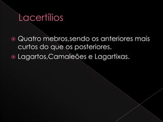  Quatro mebros,sendo os anteriores mais
  curtos do que os posteriores.
 Lagartos,Camaleões e Lagartixas.
 