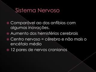  Comparável ao dos anfíbios com
  algumas inovações.
 Aumento dos hemisférios cerebrais
 Centro nervoso = cérebro e não mais o
  encéfalo médio
 12 pares de nervos cranianos
 