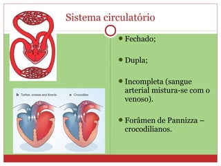Sistema circulatório
Fechado;
Dupla;
Incompleta (sangue
arterial mistura-se com o
venoso).
Forâmen de Pannizza –
crocodilianos.
 