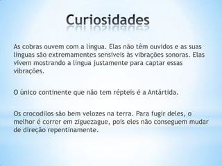 As cobras ouvem com a língua. Elas não têm ouvidos e as suas
línguas são extremamentes sensíveis às vibrações sonoras. Elas
vivem mostrando a língua justamente para captar essas
vibrações.

O único continente que não tem répteis é a Antártida.
Os crocodilos são bem velozes na terra. Para fugir deles, o
melhor é correr em ziguezague, pois eles não conseguem mudar
de direção repentinamente.

 