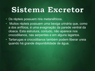 • Os répteis possuem rins metanéfricos. 
• Muitos répteis possuem uma bexiga urinária que, como 
a dos anfíbios, é uma evaginação da parede ventral da 
cloaca. Esta estrutura, contudo, não aparece nos 
crocodilianos, nas serpentes e em alguns lagartos. 
• Tartarugas e crocodilianos também podem liberar ureia 
quando há grande disponibilidade de água. 
 