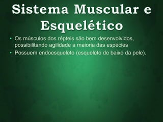 • Os músculos dos répteis são bem desenvolvidos, 
possibilitando agilidade a maioria das espécies 
• Possuem endoesqueleto (esqueleto de baixo da pele). 
 
