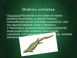 • Placodontia:Placodontia é uma ordem de répteis 
aquáticos encontrados no período Triássico. 
Assemelhavam-se aos Testudines na aparência, visto 
que algumas espécies (como o Henodus e 
o Placochelys), possuiam uma couraça corpórea tão 
ampla quanto a dos quelônios. Eram animais 
corpulentos, com pescoço curto e cauda longa, achatada 
lateralmente. 
 