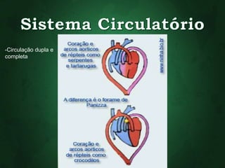 -Circulação dupla e 
completa 
 