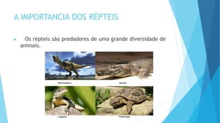 A IMPORTANCIA DOS RÉPTEIS
 Os répteis são predadores de uma grande diversidade de
animais.
 