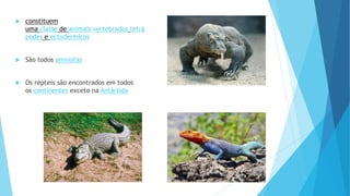  constituem
uma classe de animais vertebrados tetrá
podes e ectodérmicos
 São todos amniotas
 Os répteis são encontrados em todos
os continentes exceto na Antártida
 