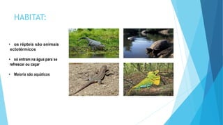 HABITAT:
• os répteis são animais
ectotérmicos
• só entram na água para se
refrescar ou caçar
• Maioria são aquáticos
 