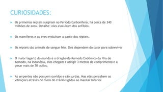 CURIOSIDADES:
 Os primeiros répteis surgiram no Período Carbonífero, há cerca de 340
milhões de anos. Detalhe: eles evoluíram dos anfíbios.
 Os mamíferos e as aves evoluíram a partir dos répteis.
 Os répteis são animais de sangue frio. Eles dependem do calor para sobreviver
 O maior lagarto do mundo é o dragão-de-Komodo Endêmico da ilha de
Komodo, na Indonésia, eles chegam a atingir 3 metros de comprimento e a
pesar mais de 70 quilos.
 As serpentes não possuem ouvidos e são surdas. Mas elas percebem as
vibrações através de ossos do crânio ligados ao maxilar inferior.
 