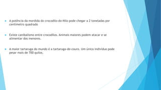 A potência da mordida do crocodilo-do-Nilo pode chegar a 2 toneladas por
centímetro quadrado
 Existe canibalismo entre crocodilos. Animais maiores podem atacar e se
alimentar dos menores.
 A maior tartaruga do mundo é a tartaruga-de-couro. Um único indivíduo pode
pesar mais de 700 quilos.
 