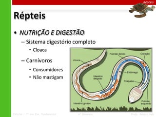 Répteis
Répteis
• NUTRIÇÃO E DIGESTÃO
– Sistema digestório completo
• Cloaca
– Carnívoros
• Consumidores
• Não mastigam
Ciências – 7º ano Ens. Fundamental 4º Bimestre Profa. Rebeca Vale
 
