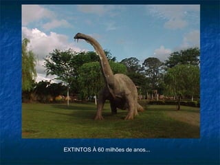 EXTINTOS À 60 milhões de anos...
 