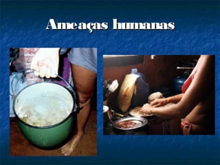 Ameaças humanas
 
