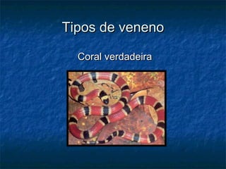 Tipos de veneno

  Coral verdadeira
 