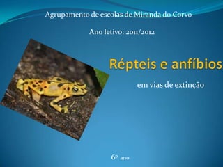 Agrupamento de escolas de Miranda do Corvo

            Ano letivo: 2011/2012




                              em vias de extinção




                   6º   ano
 