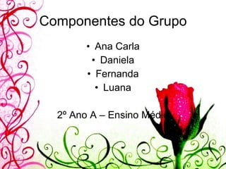 Componentes do Grupo Ana Carla Daniela Fernanda Luana 2º Ano A – Ensino Médio 