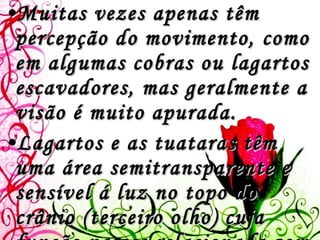 Muitas vezes apenas têm percepção do movimento, como em algumas cobras ou lagartos escavadores, mas geralmente a visão é muito apurada. Lagartos e as tuataras têm uma área semitransparente e sensível á luz no topo do crânio (terceiro olho) cuja função parece relacionada com o controle metabólico diurno e sazonal, de acordo com o fotoperíodo.  