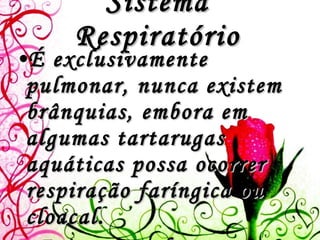 Sistema Respiratório É exclusivamente pulmonar, nunca existem brânquias, embora em algumas tartarugas aquáticas possa ocorrer respiração faríngica ou cloacal. Existem cordas vocais na laringe.    