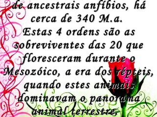 Os répteis surgiram, a partir de ancestrais anfíbios, há cerca de 340 M.a.  Estas 4 ordens são as sobreviventes das 20 que floresceram durante o Mesozóico, a era dos répteis, quando estes animais dominavam o panorama animal terrestre.   