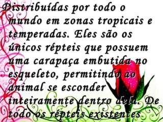 Distribuídas por todo o mundo em zonas tropicais e temperadas. Eles são os únicos répteis que possuem uma carapaça embutida no esqueleto, permitindo ao animal se esconder inteiramente dentro dela. De todo os répteis existentes hoje em dia, os quelônios são os mais antigos e os que menos mudaram nos seus 200 milhões de anos de história. 