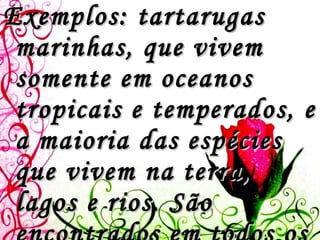 Exemplos: tartarugas marinhas, que vivem somente em oceanos tropicais e temperados, e a maioria das espécies que vivem na terra, lagos e rios. São encontrados em todos os continentes, embora apenas uma espécie chegue até o norte da Austrália. 
