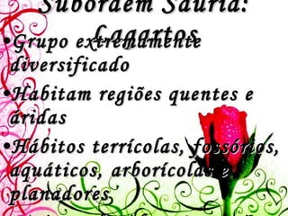 Subordem Sauria: Lagartos Grupo extremamente diversificado Habitam regiões quentes e áridas Hábitos terrícolas, fossórios, aquáticos, arborícolas e planadores Mais conhecidos: Lagartixas ou Geckos Outros exemplos: iguanídeos, bribas, camaleões 