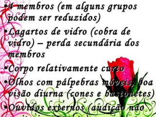 4 membros (em alguns grupos podem ser reduzidos) Lagartos de vidro (cobra de vidro) – perda secundária dos membros Corpo relativamente curto Olhos com pálpebras móveis, boa visão diurna (cones e bastonetes)  Ouvidos externos (audição não muito importante) 