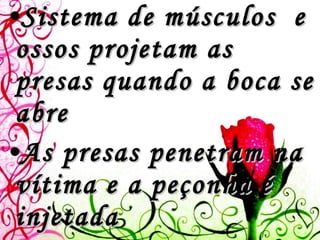 Sistema de músculos  e ossos projetam as presas quando a boca se abre As presas penetram na vítima e a peçonha é injetada 1/3 das serpentes são peçonhentas 