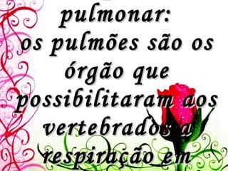 Respiração pulmonar: os pulmões são os órgão que possibilitaram aos vertebrados a respiração em ambiente gasoso.   
